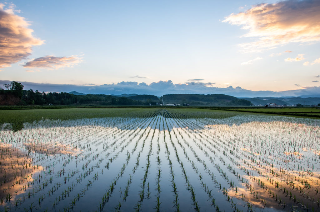 事業承継サービスイメージ